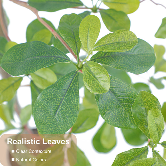 Nafresh 7ft Black Olive Tree with Lifelike Silk Leaves & Trunks, 84in Faux Black Olive Tree for Home Office Patio Front Door Porch Decor.