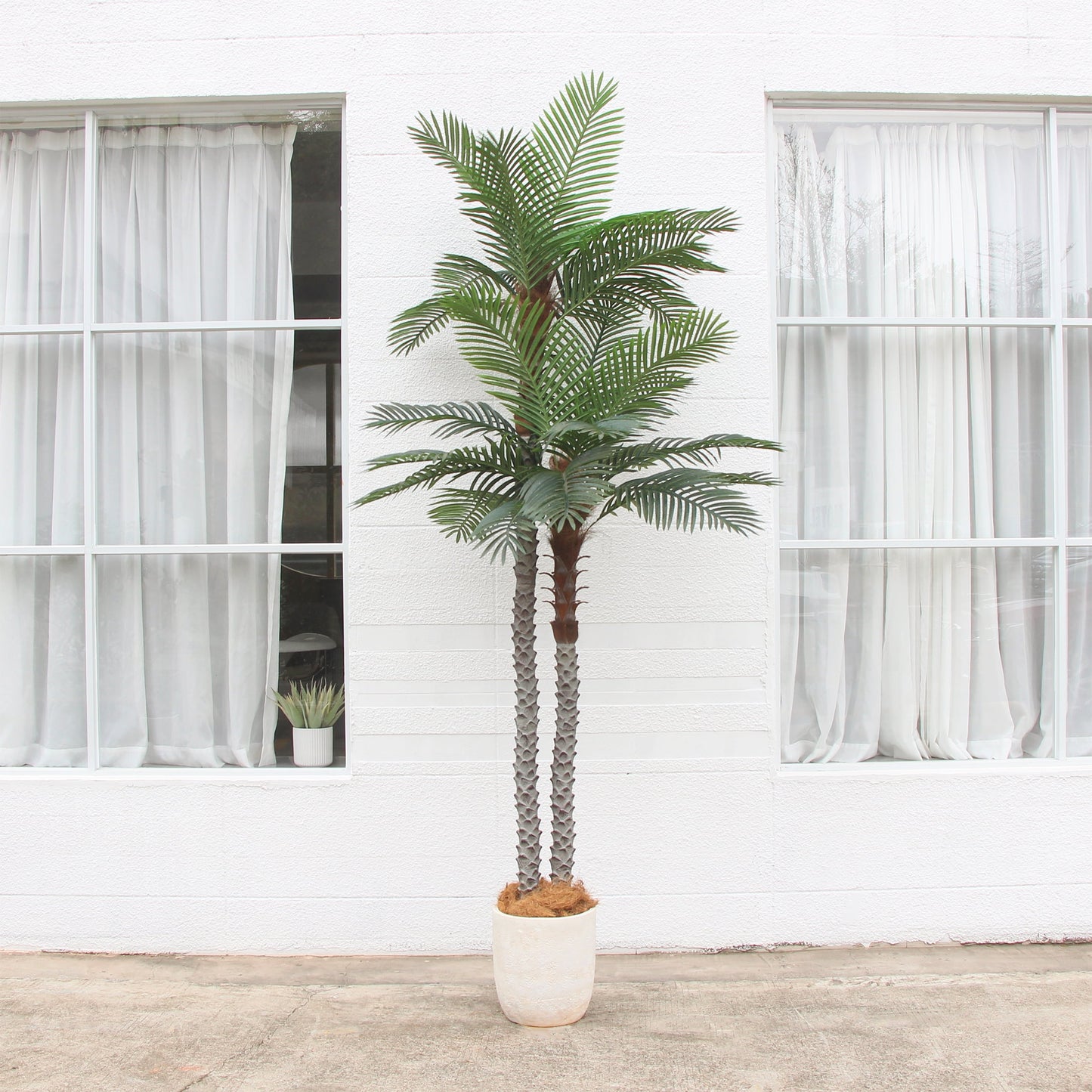 Nafresh 8ft UV Resistant Faux Palm Tree with Full and Lifelike Leaves , 96in Artificial Palm Tree with Realistic Trunks and Real Bark for Outdoor Indoor Home Office Decor.