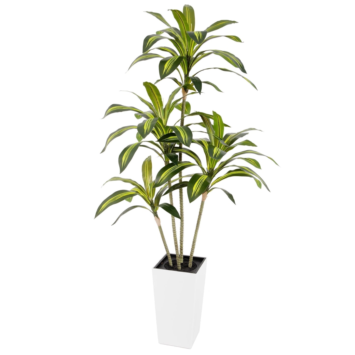 Nafresh UV Resistant 5ft Dracaena Artificial Plant with Tall White Decorative Planter for Indoor Outdoor Decor