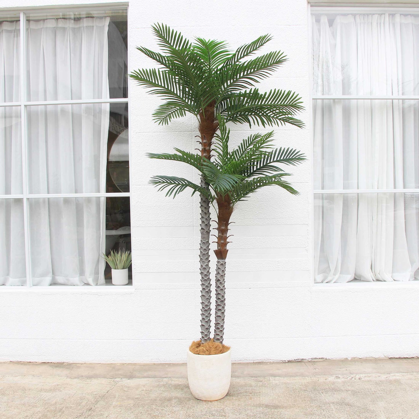 Nafresh 8ft UV Resistant Faux Palm Tree with Full and Lifelike Leaves , 96in Artificial Palm Tree with Realistic Trunks and Real Bark for Outdoor Indoor Home Office Decor.