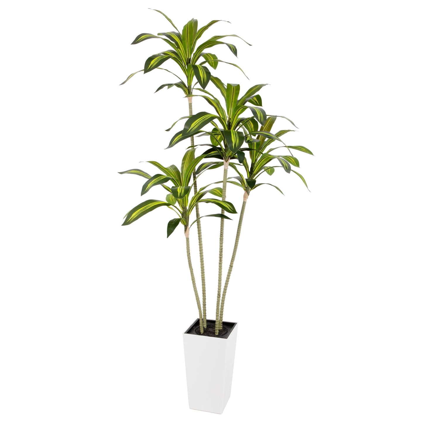 Nafresh UV Resistant 5ft Dracaena Artificial Plant with Tall White Decorative Planter for Indoor Outdoor Decor