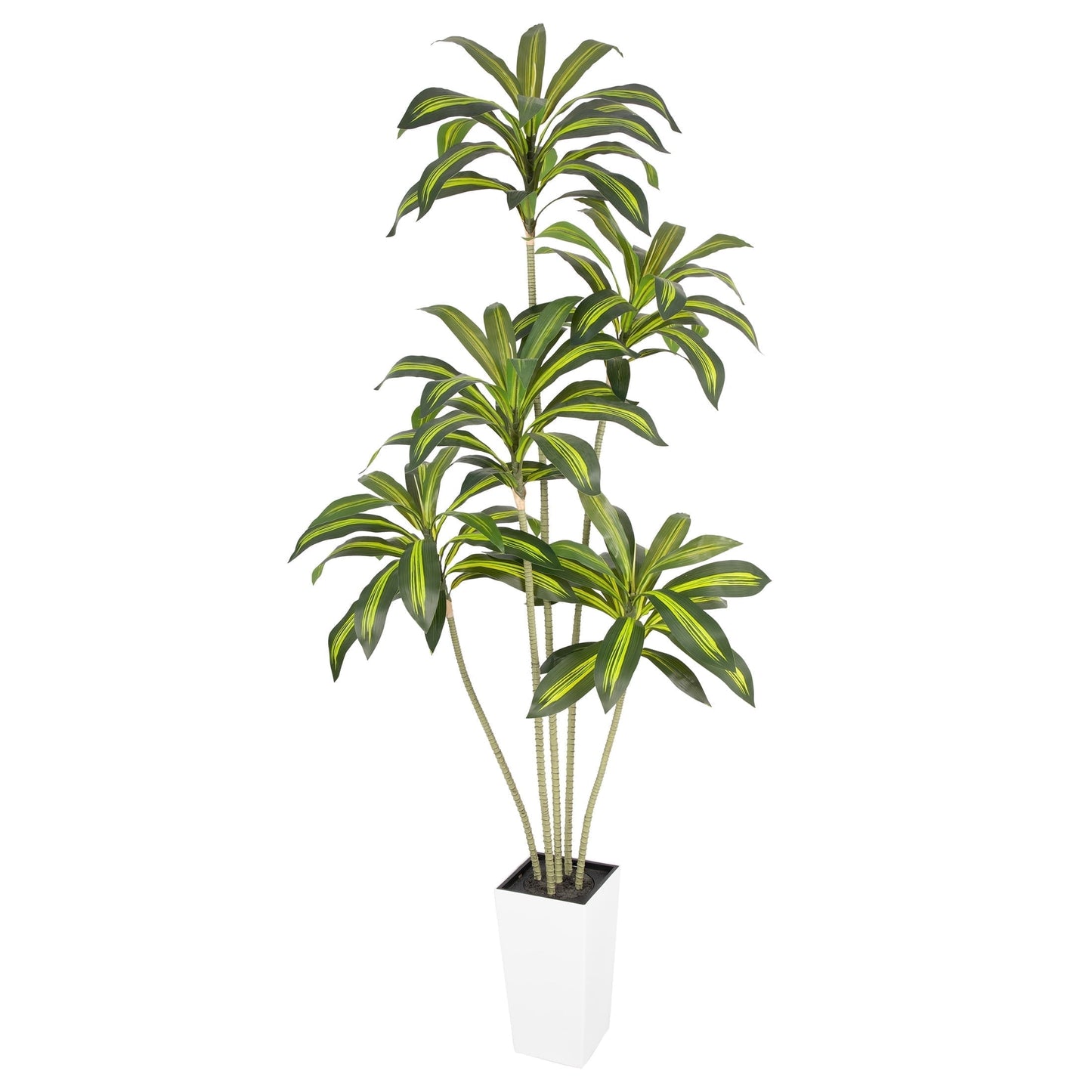 Nafresh UV Resistant 5ft Dracaena Artificial Plant with Tall White Decorative Planter for Indoor Outdoor Decor