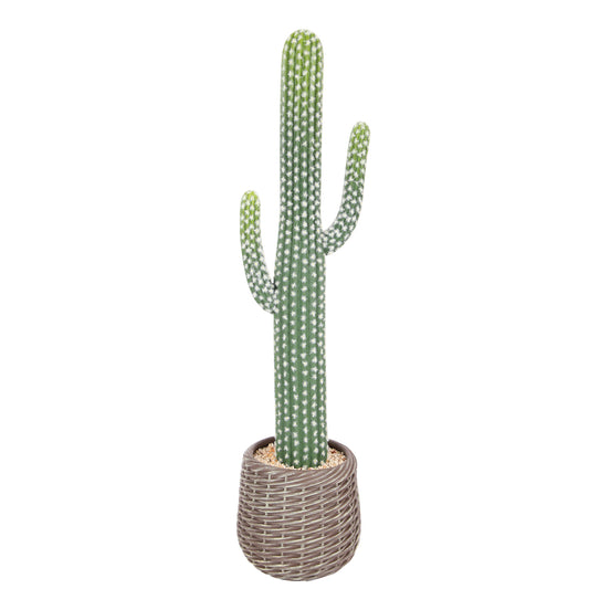 RosyHaven 32.6"/30.7"/25.5"/23" 2pack/1pack UV Resistant Artificial Cactus Plants, Realistic Faux Cactus Plants Indoor with Decorative Woven Planter for Home Office Store Porch Patio Table Decor