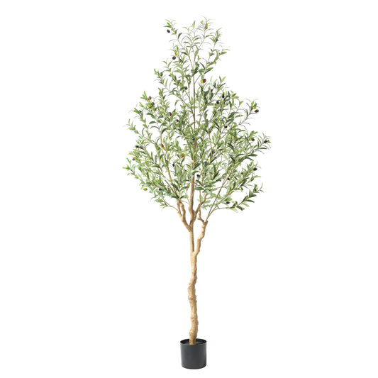 Nafresh 7FT Tall and Fuller Style Artificial Olive Tree with Pot - Realistic Faux Olive Plant for Indoor Décor