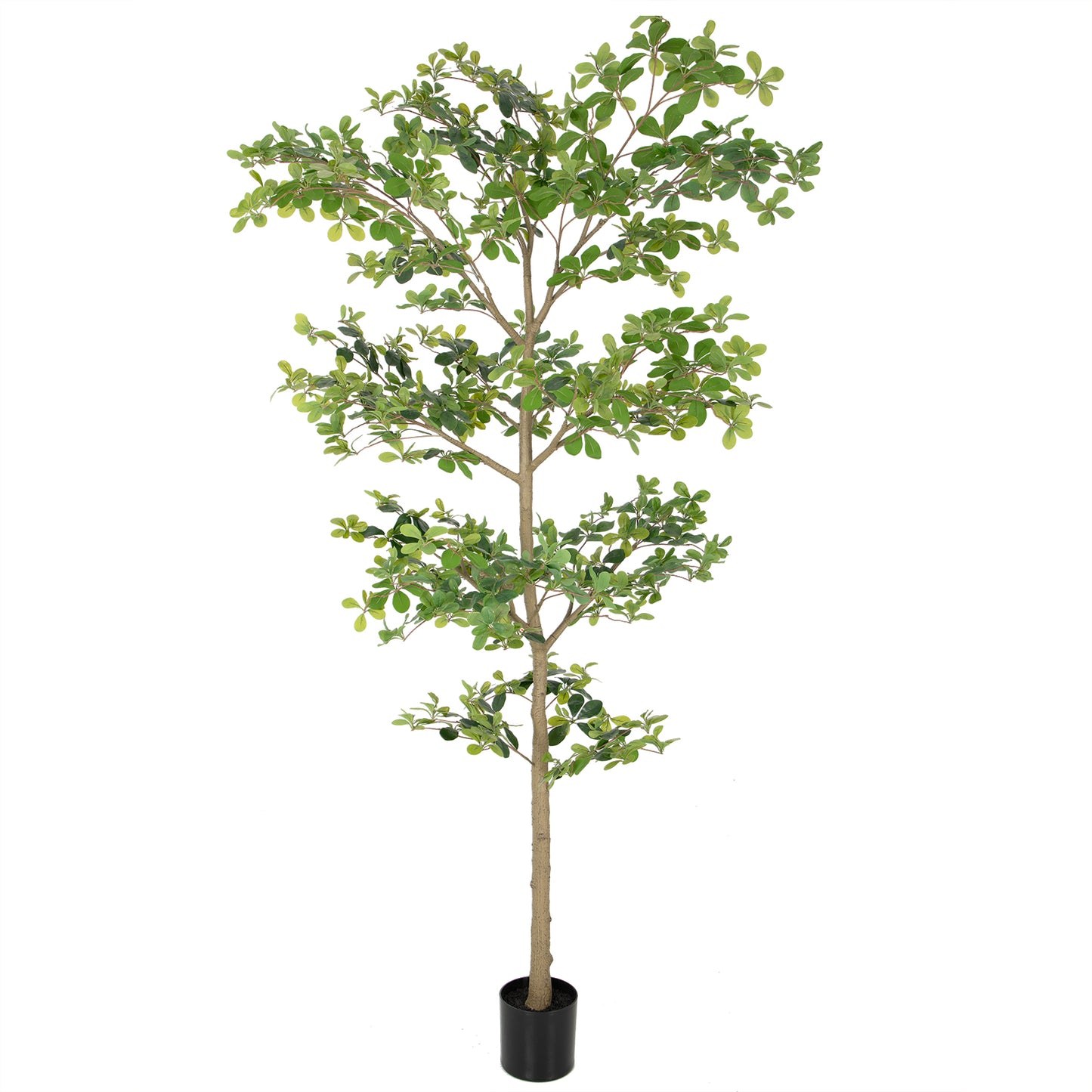 Nafresh 7/8ft Black Olive Tree with Lifelike Silk Leaves & Trunks, 84/96in Faux Black Olive Tree for Home Office Patio Front Door Porch Decor.