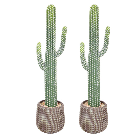 RosyHaven 32.6"/30.7"/25.5"/23" 2pack/1pack UV Resistant Artificial Cactus Plants, Realistic Faux Cactus Plants Indoor with Decorative Woven Planter for Home Office Store Porch Patio Table Decor