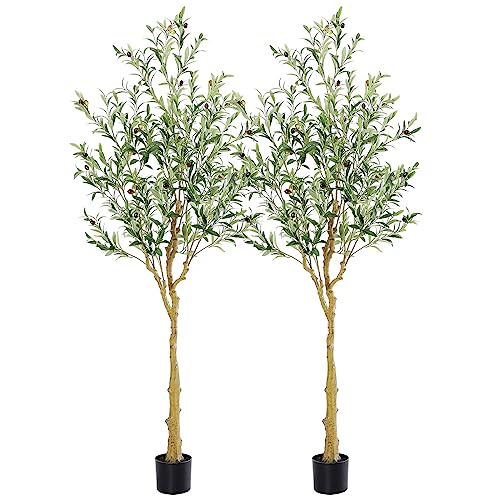 Tall Faux Olive Tree，6Ft(72in) Realistic Texture Potted Silk Artificial Olive Tree， Fake Olive Trees Indoor Outdoor for Home Office Living Room Bedroom Foyer Porch Decor. 2 Pack