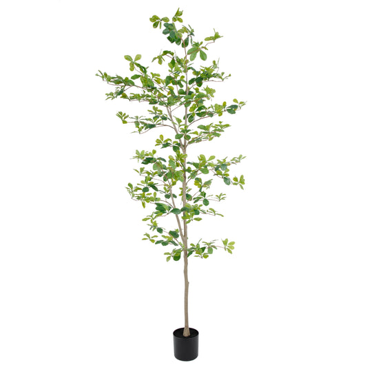 Nafresh 7ft Black Olive Tree with Lifelike Silk Leaves & Trunks, 84in Faux Black Olive Tree for Home Office Patio Front Door Porch Decor.