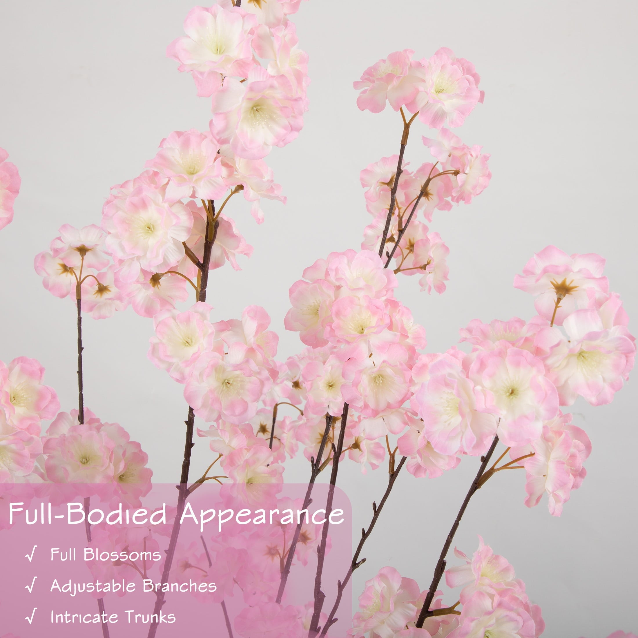 cherry blossom※プロフ確認 様　FANTASTICS Fowers of the cherry or apple blossom. Sakura flower